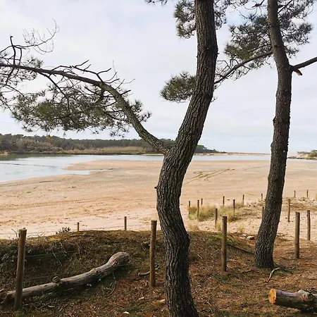 Tamaris Abba Talmont-Saint-Hilaire