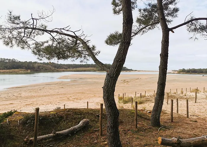 Tamaris Abba Talmont-Saint-Hilaire